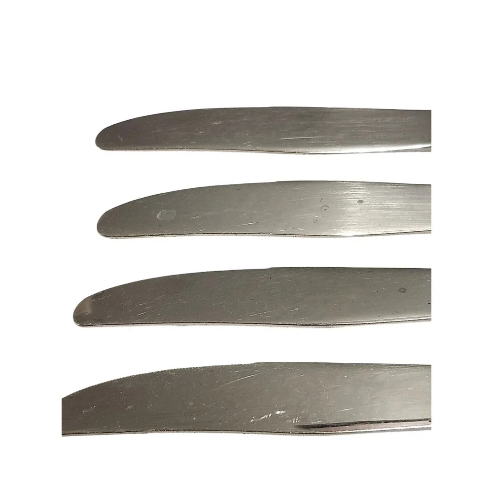 Oneida LASTING‎ ROSE Set of 4 Dinner Knives Oneidacraft Stainless Flatware